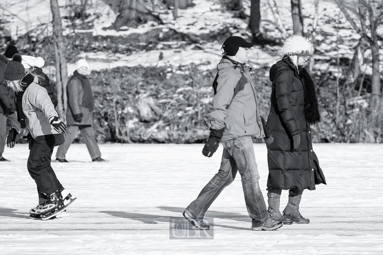 hammersee_gefroren_2012_10