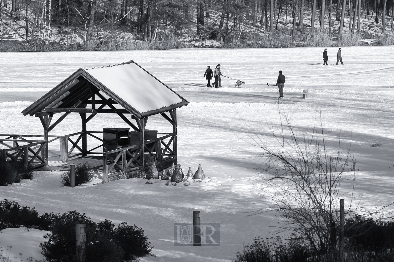 hammersee_gefroren_2012_14