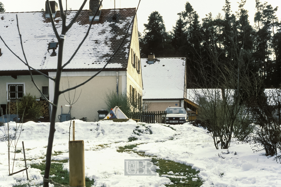 Winter hinterm Haus und im Garten - 1995