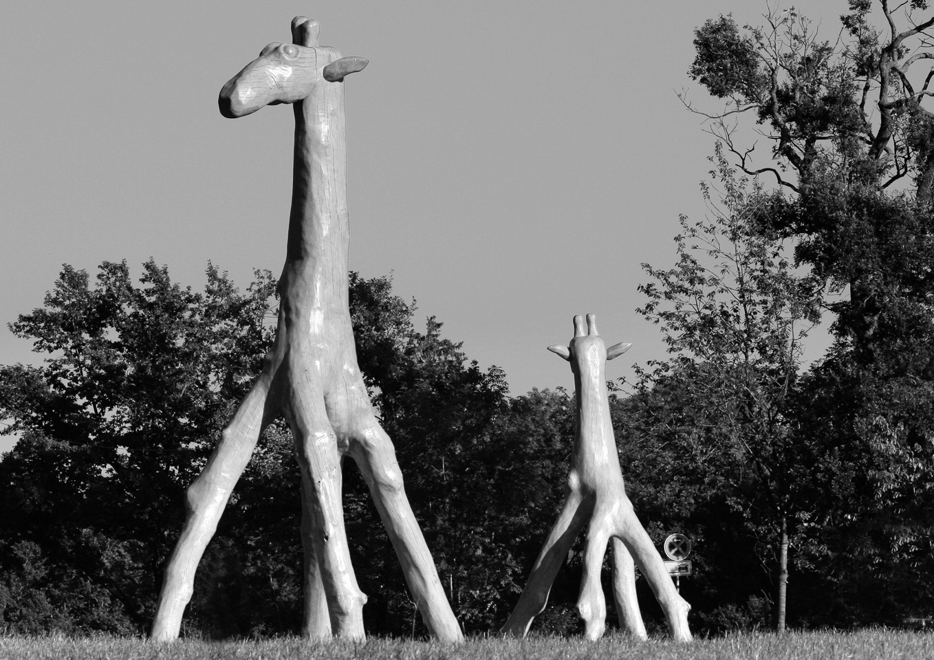 giraffen_wache_01_sw