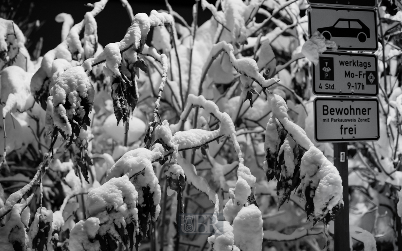 winter_einbruch_dec_2023_06