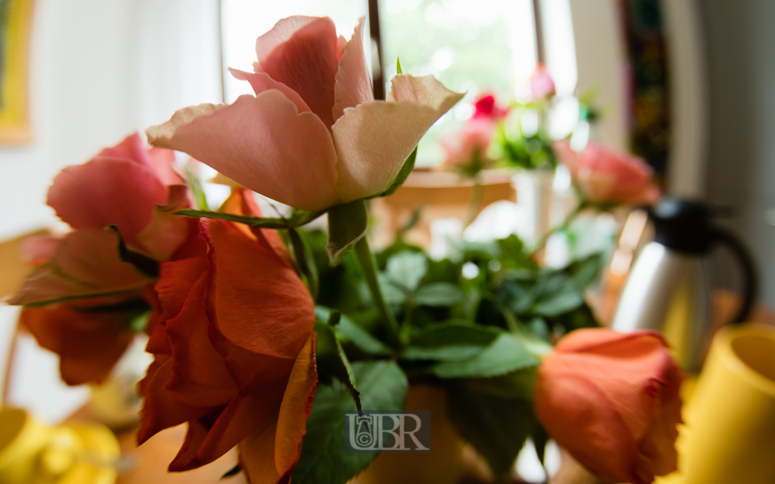 blumen_ulmenweg_fisheye_2