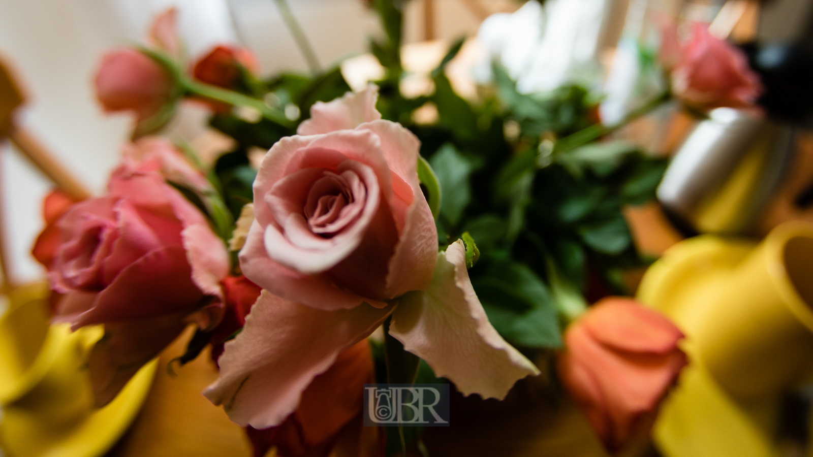 blumen_ulmenweg_fisheye_3