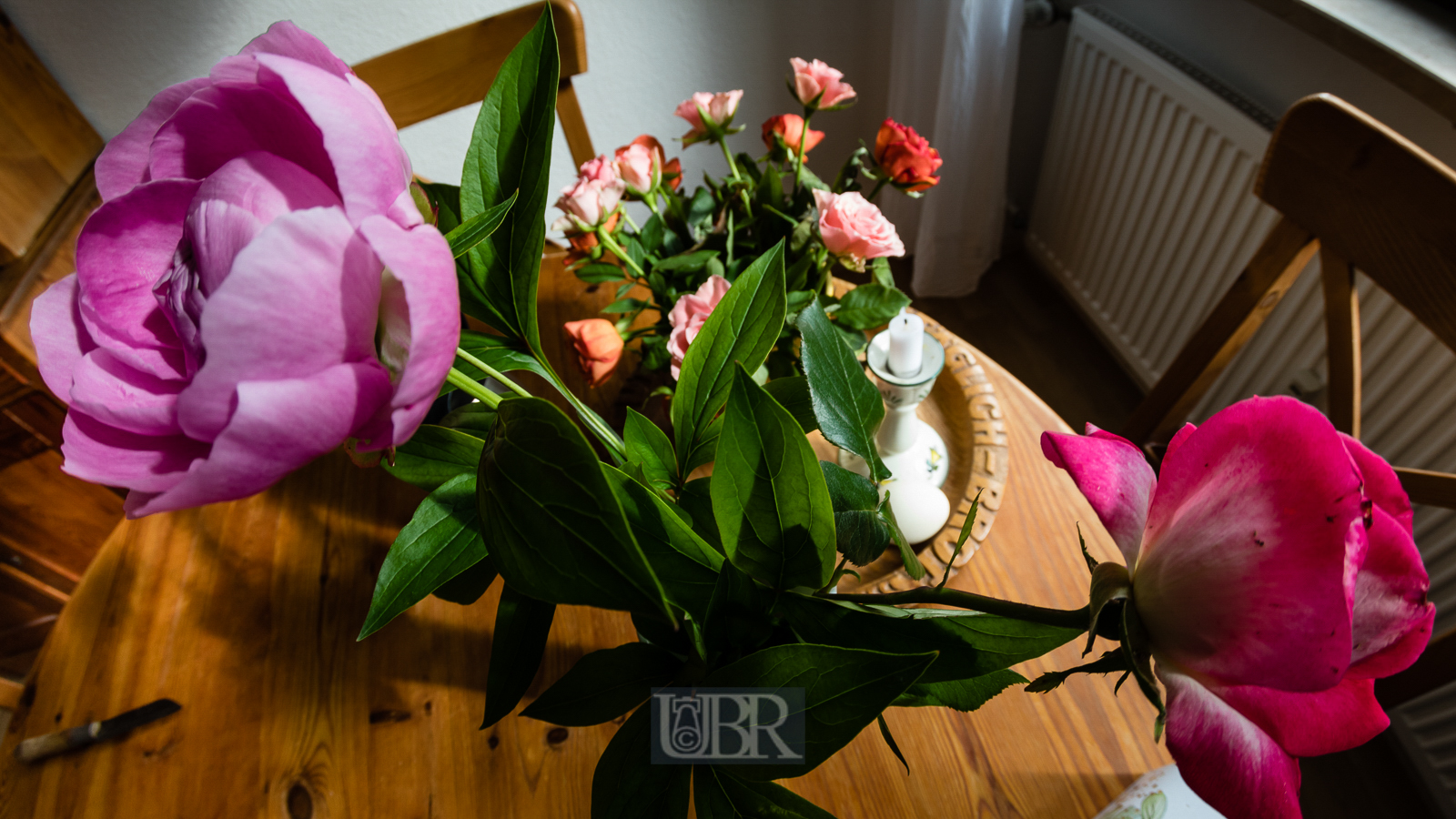 blumen_ulmenweg_fisheye_5