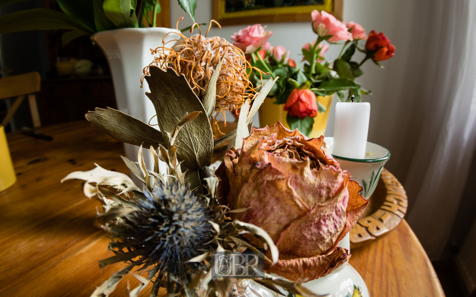 blumen_ulmenweg_fisheye_8