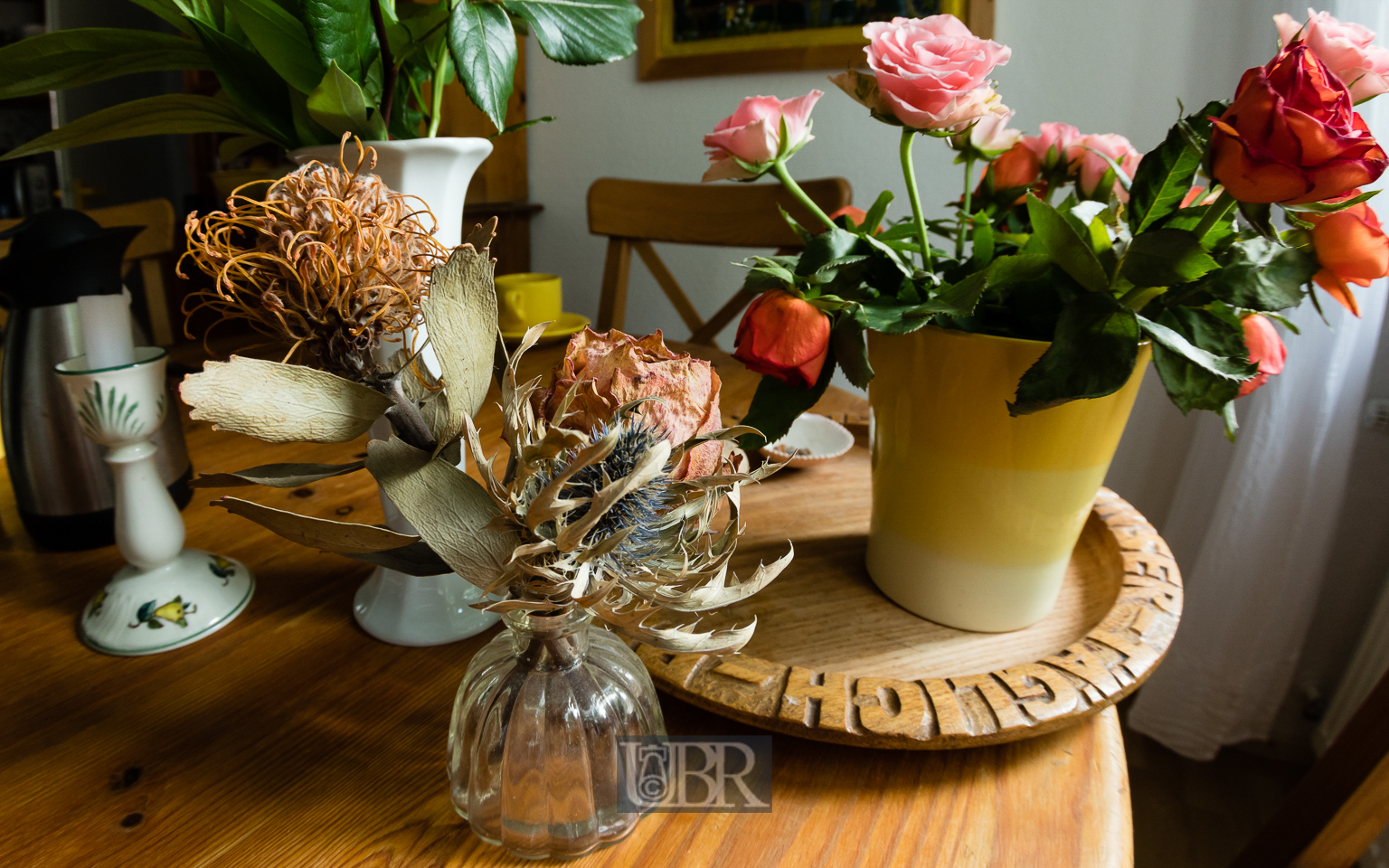 blumen_ulmenweg_fisheye_9
