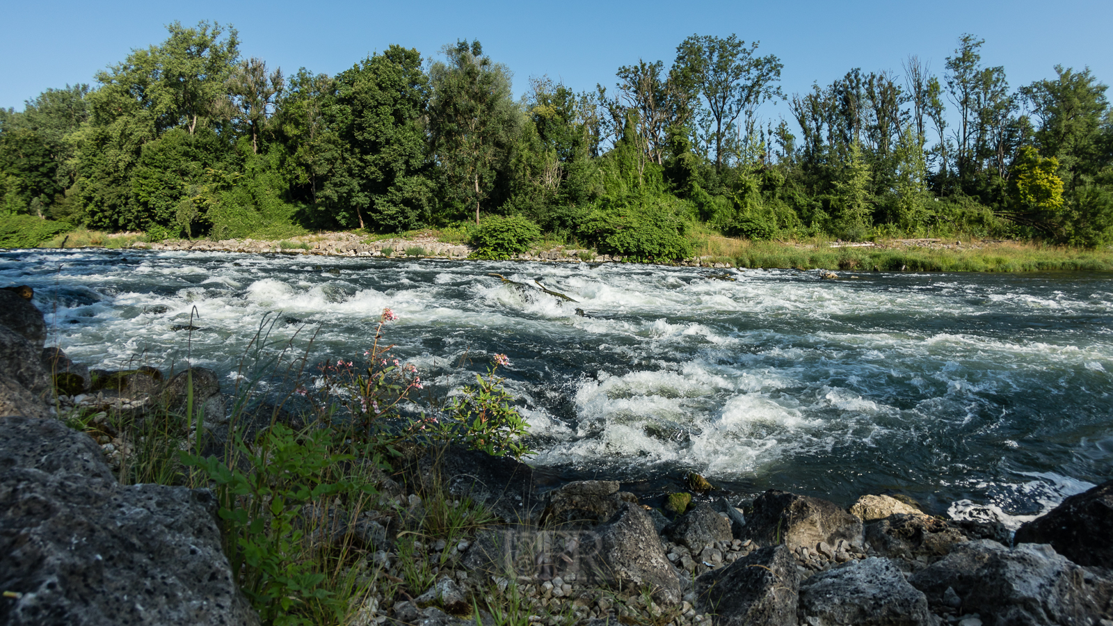 isar_2025_fisheye_2