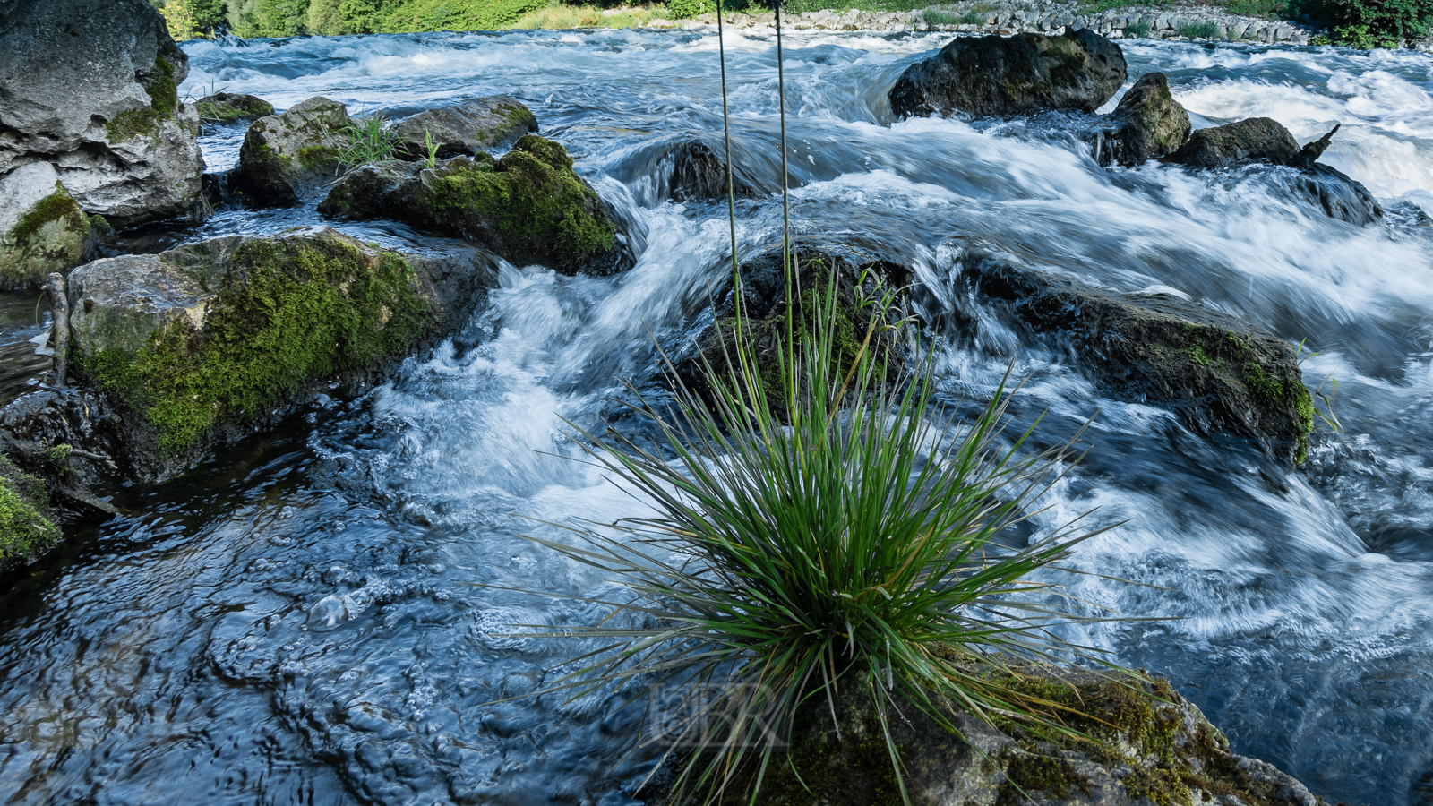 isar_2025_fisheye_3
