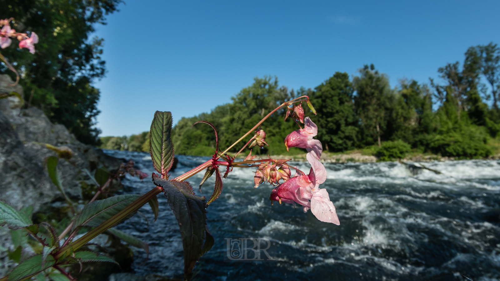 isar_2025_fisheye_5
