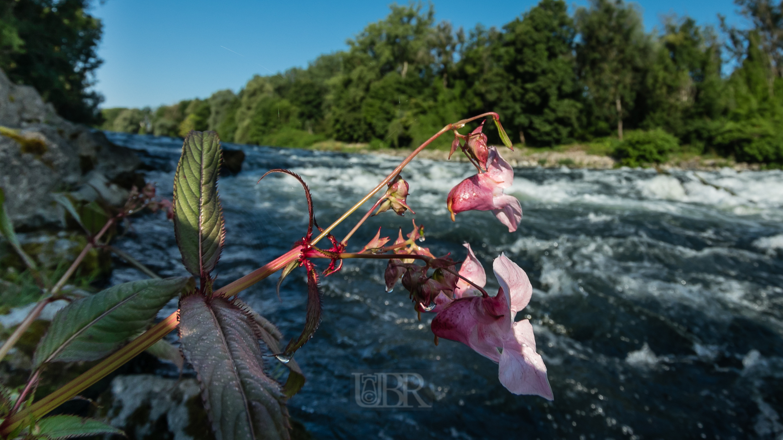 isar_2025_fisheye_6