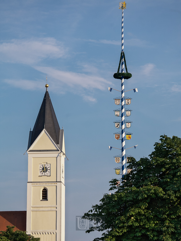 maibaum_kirchturn_51