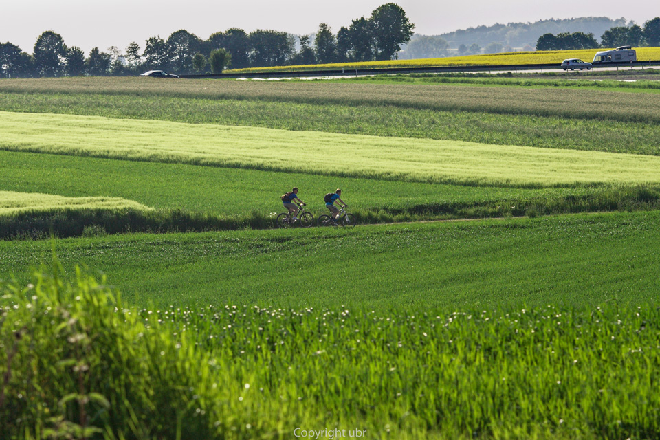 getreide_felder_juni_01_radler