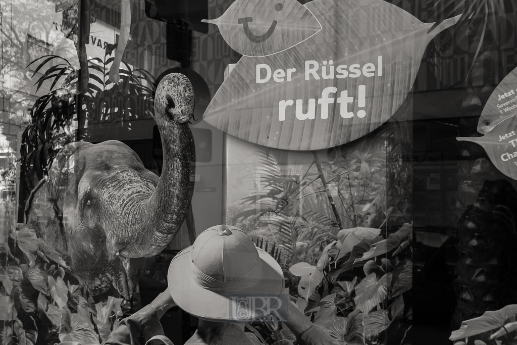 der_ruessel_ruft