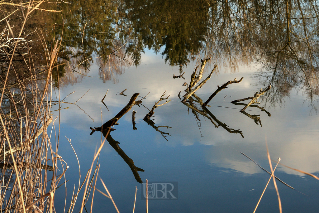 Wasser - Spiegel