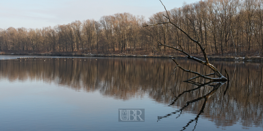 Wasser - Spiegel