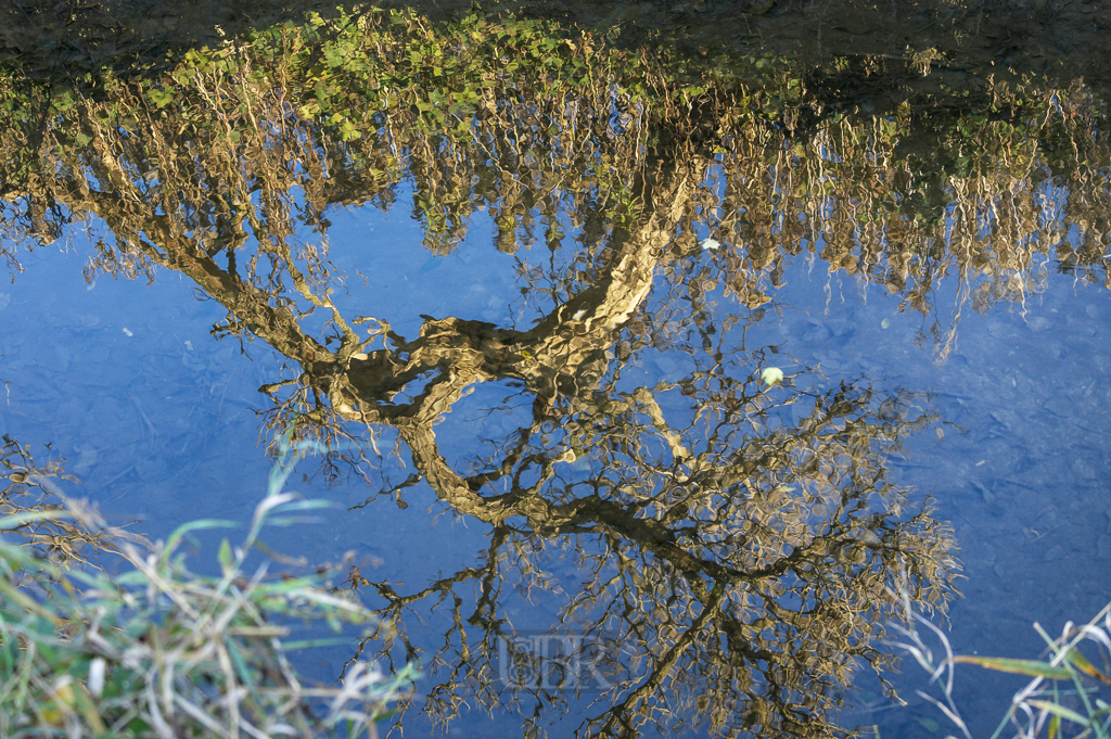 Wasser - Spiegel