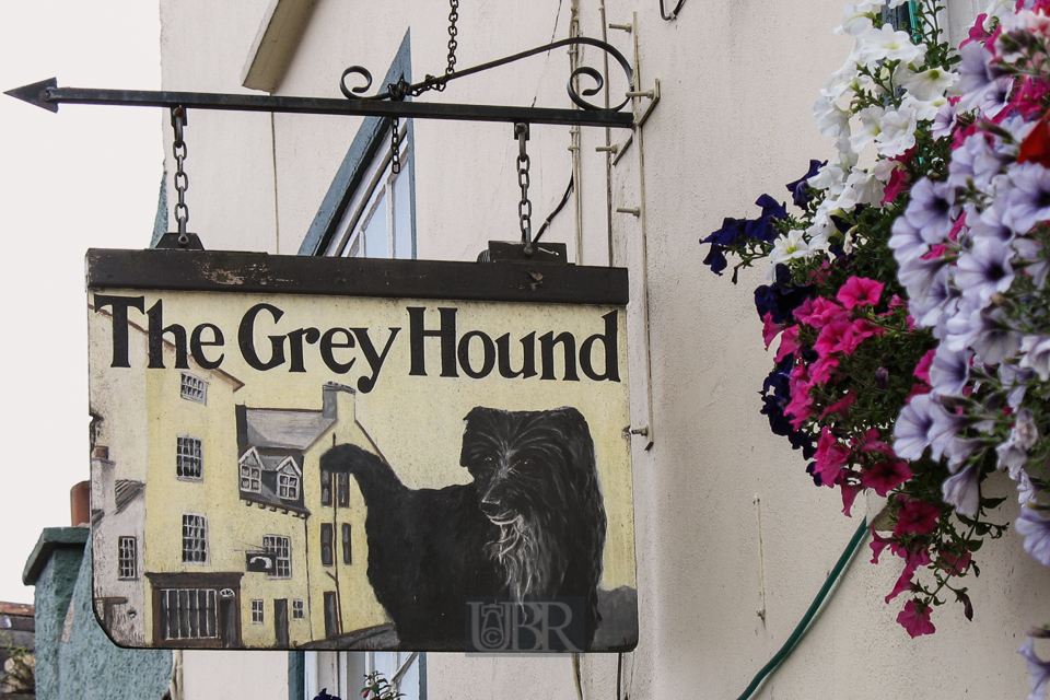 02_the_gray_hound